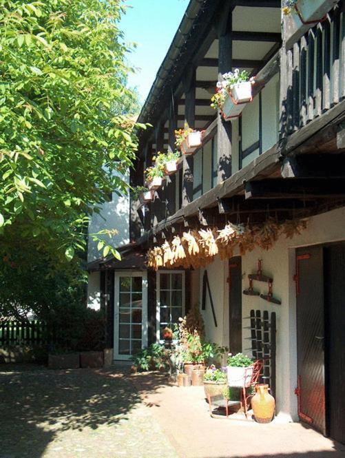 Hotel Garni & Oma'S Heuhotel 'Pension Zur Galerie' Barby Exterior foto